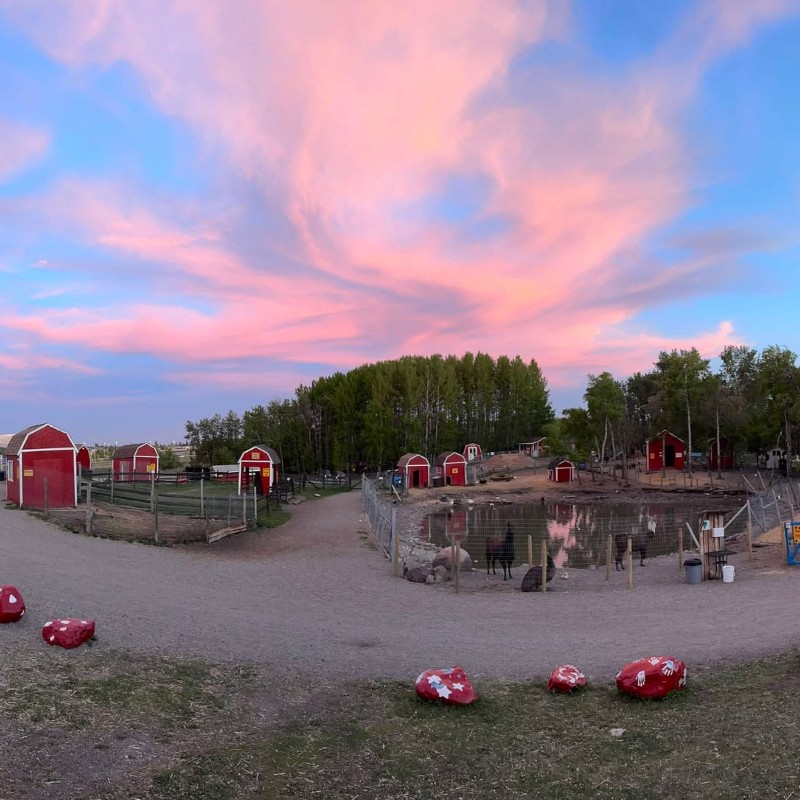 Sunset at the farm Butterfield Acres