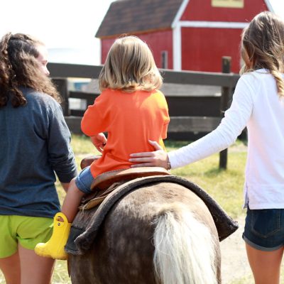 pony-rides-IMG_3679